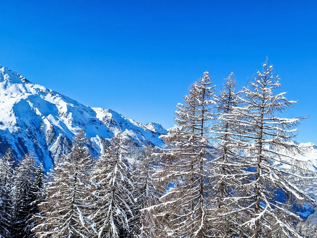 Résidence Bellentre Chalet le Pommier 5