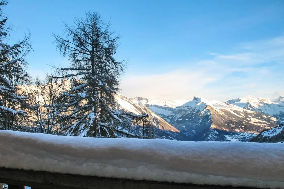 Chalet Michelle