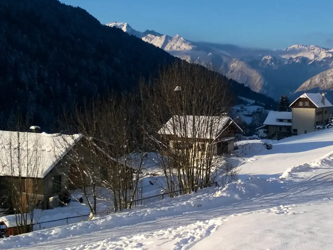 Location de Vacances Le Grand-Bornand 186