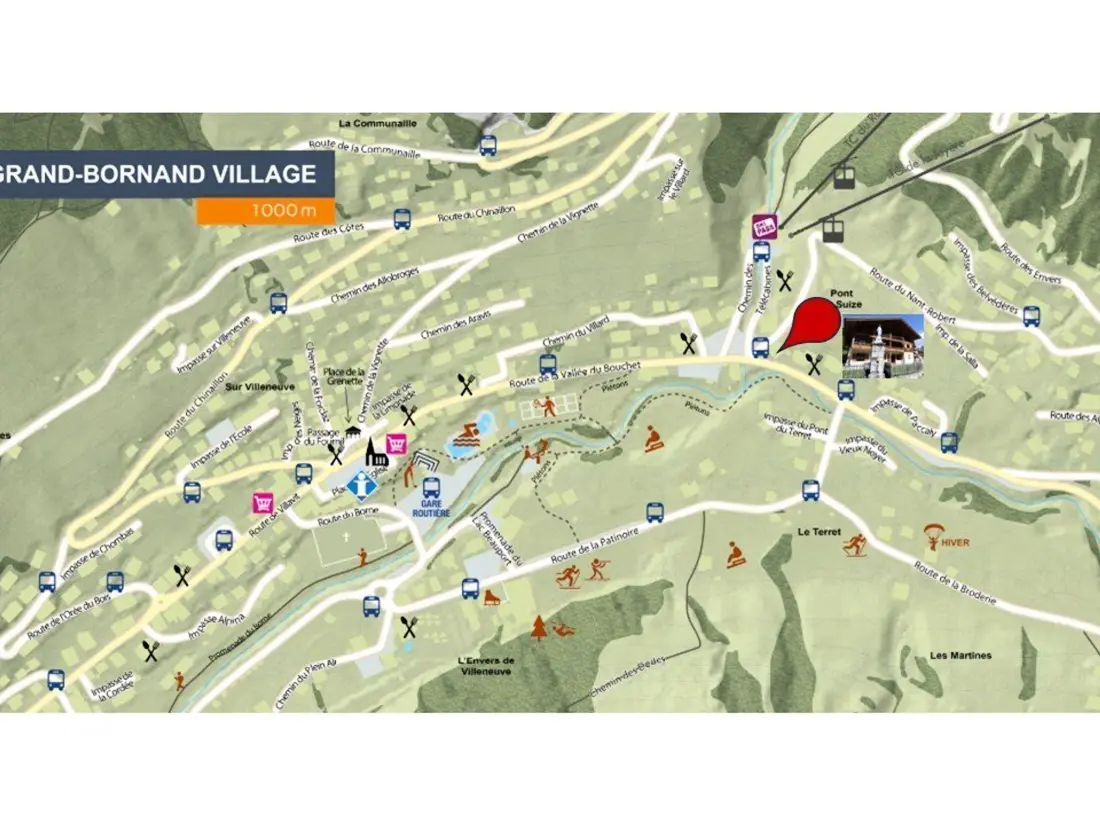 Location de Vacances Le Grand-Bornand 206