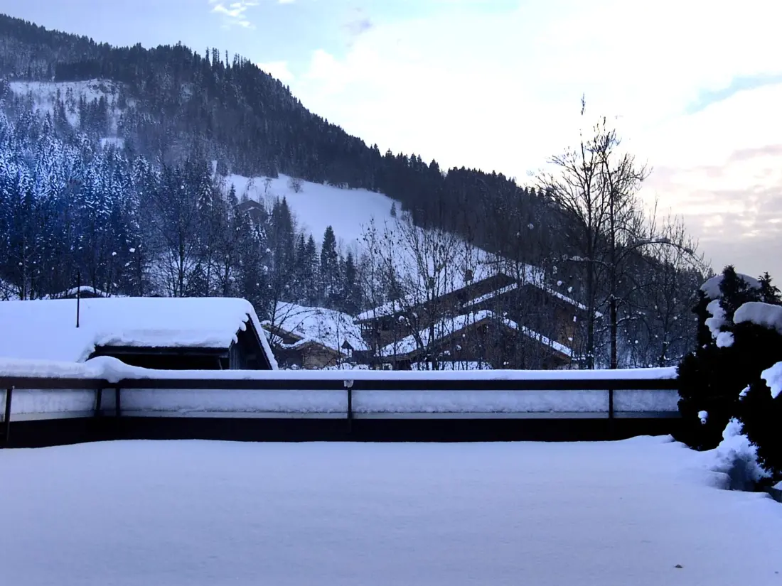 Location de Vacances Le Grand-Bornand 209