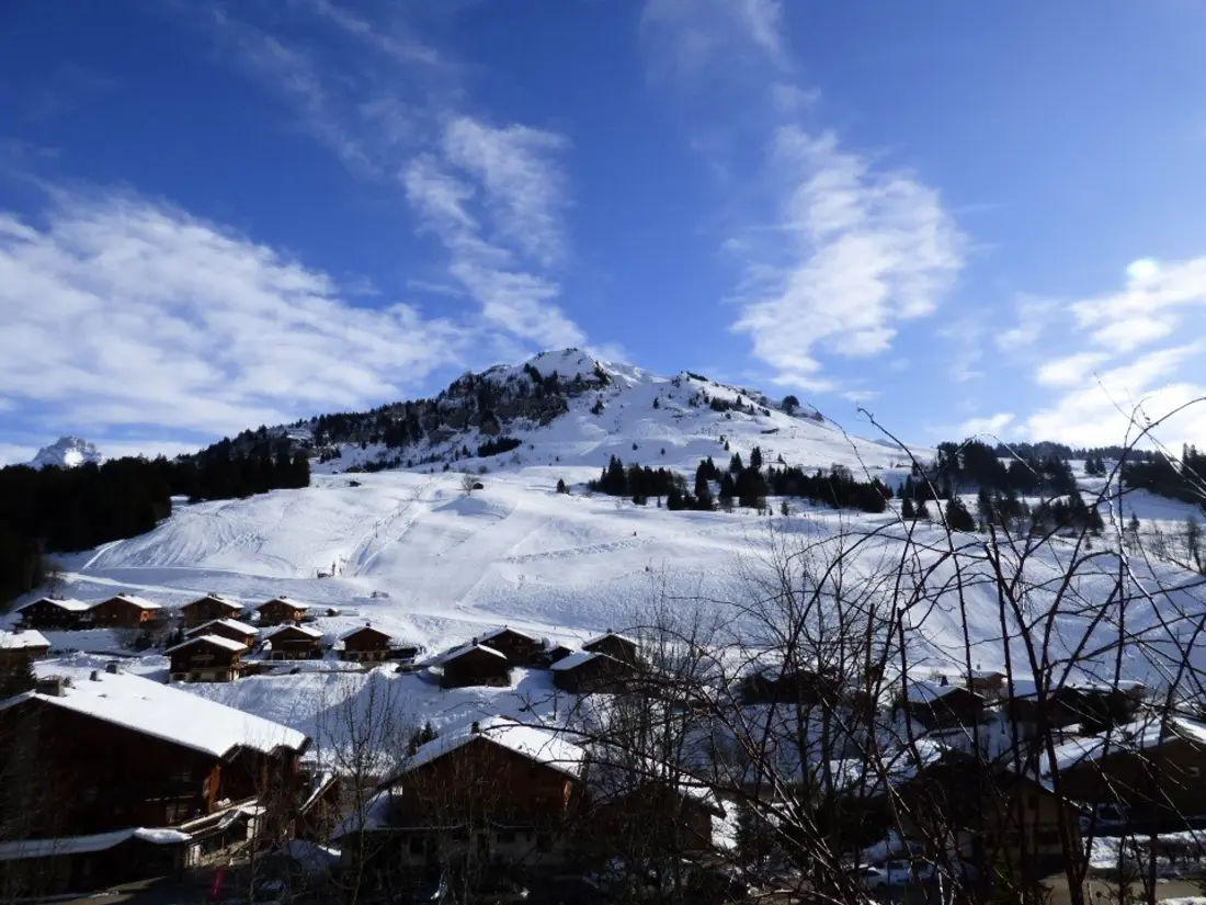 Location de Vacances Le Grand-Bornand 210