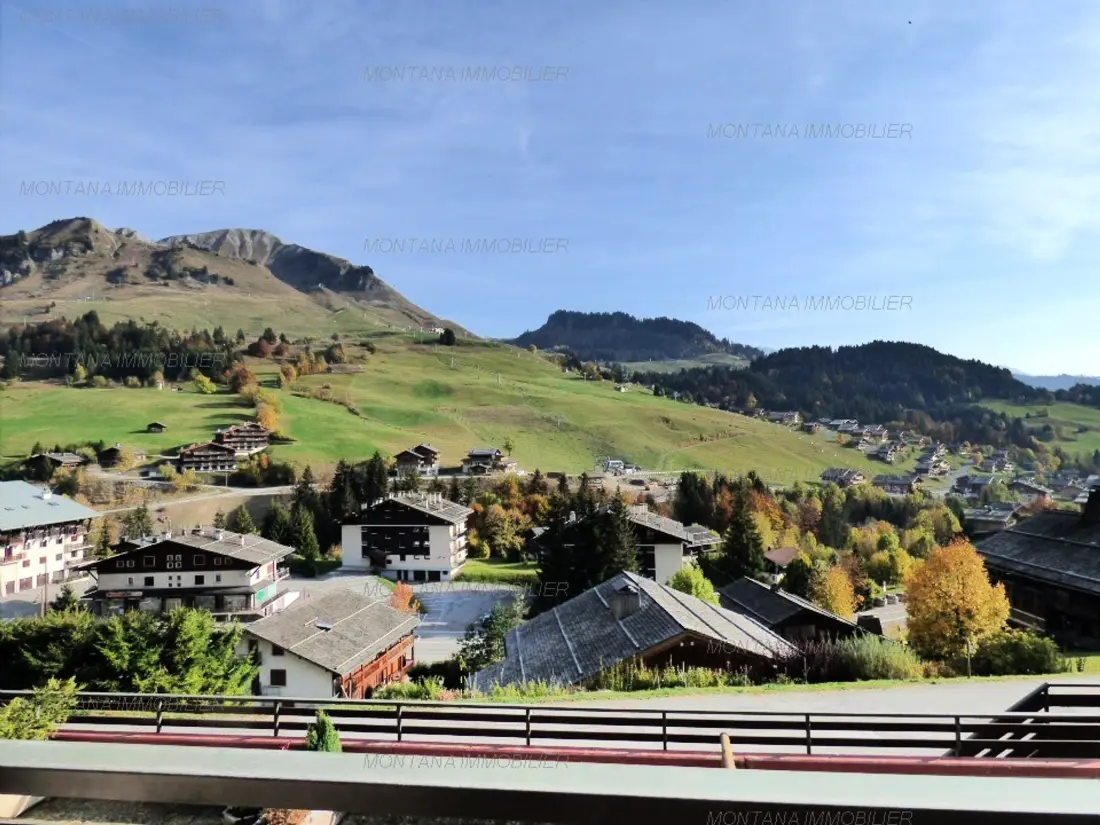 Location de Vacances Le Grand-Bornand 219