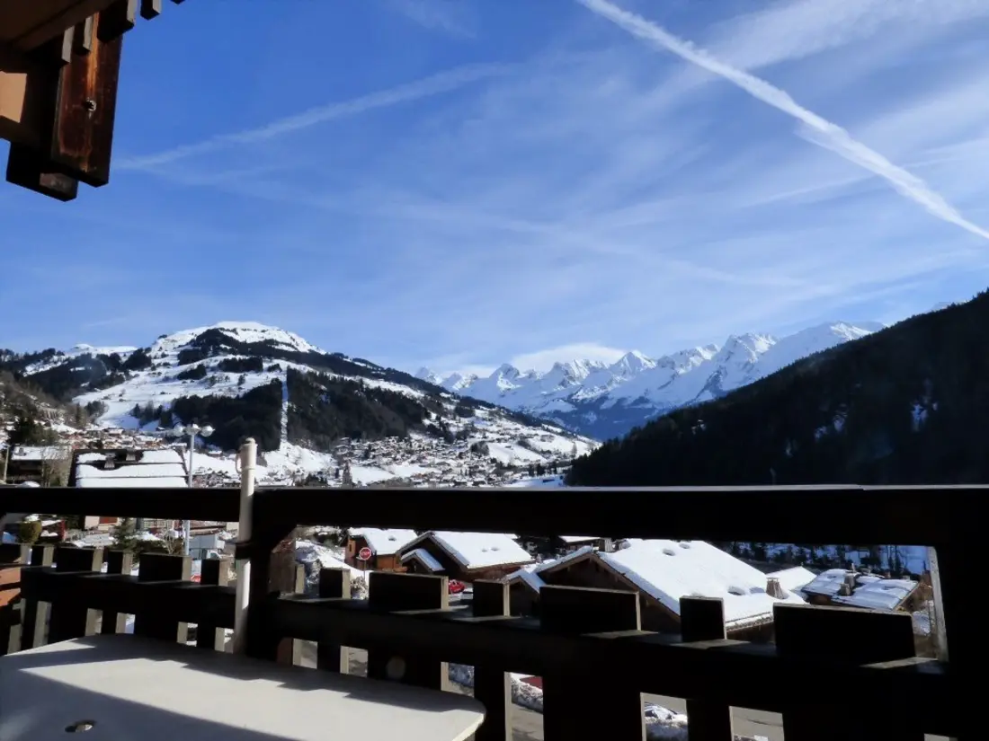 Location de Vacances Le Grand-Bornand 221