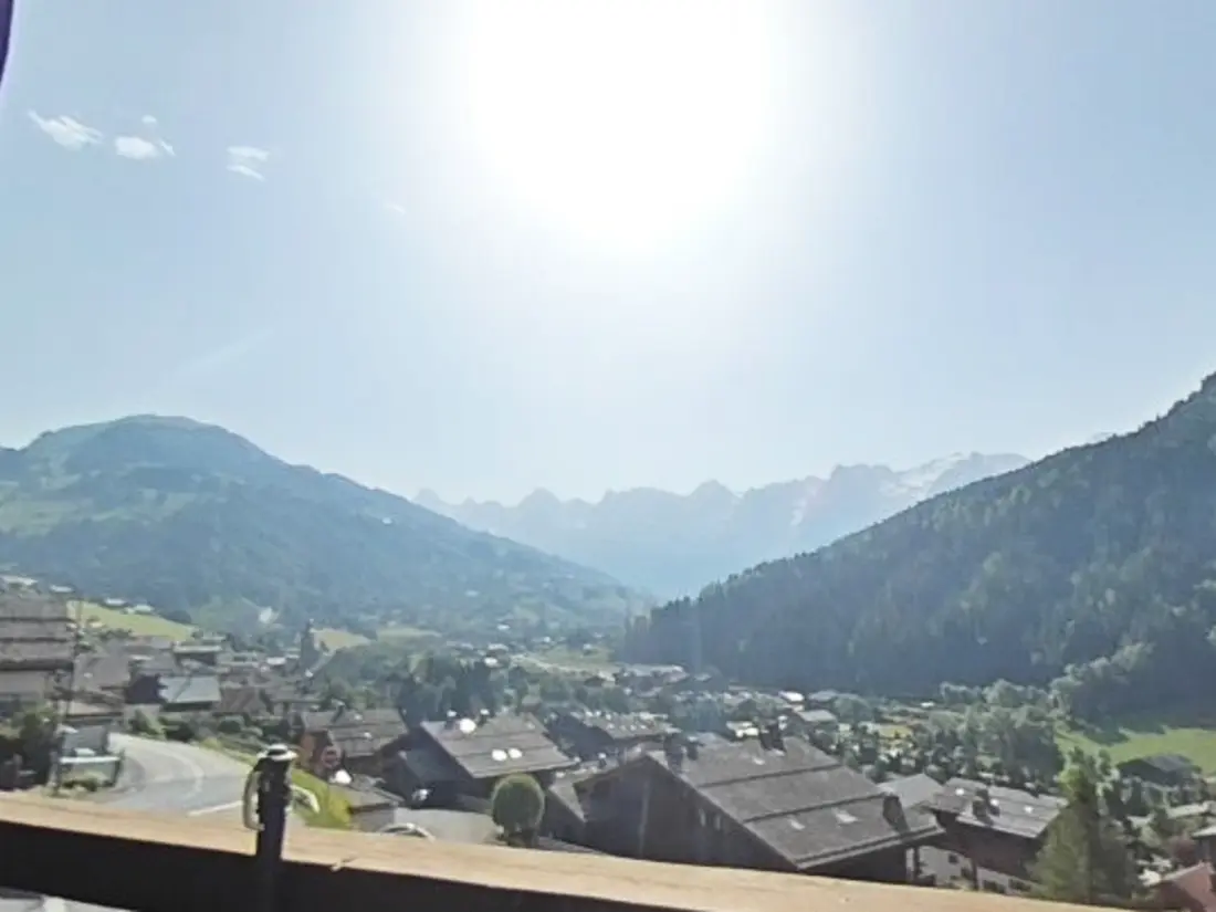 Location de Vacances Le Grand-Bornand 221