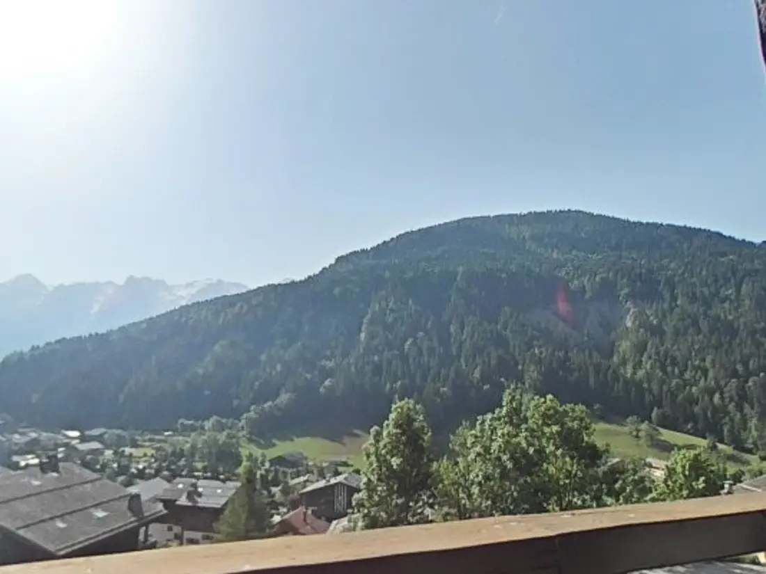 Location de Vacances Le Grand-Bornand 221