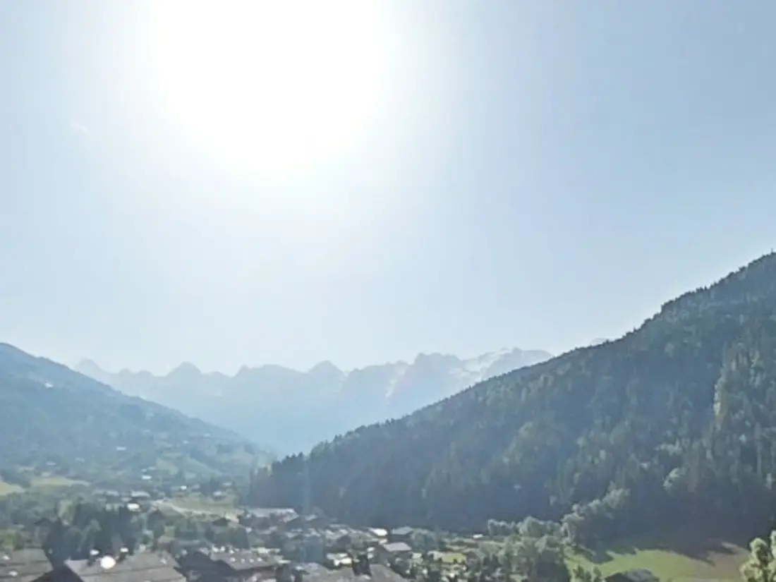 Location de Vacances Le Grand-Bornand 221