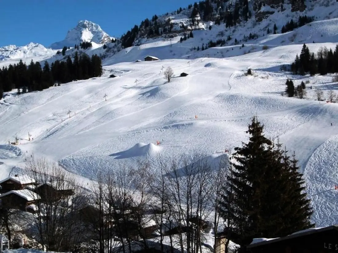 Location de Vacances Le Grand-Bornand 226