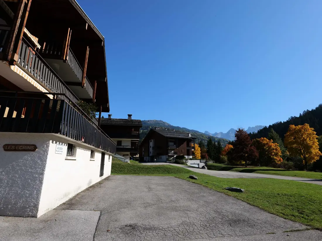 Location de Vacances Le Grand-Bornand 232