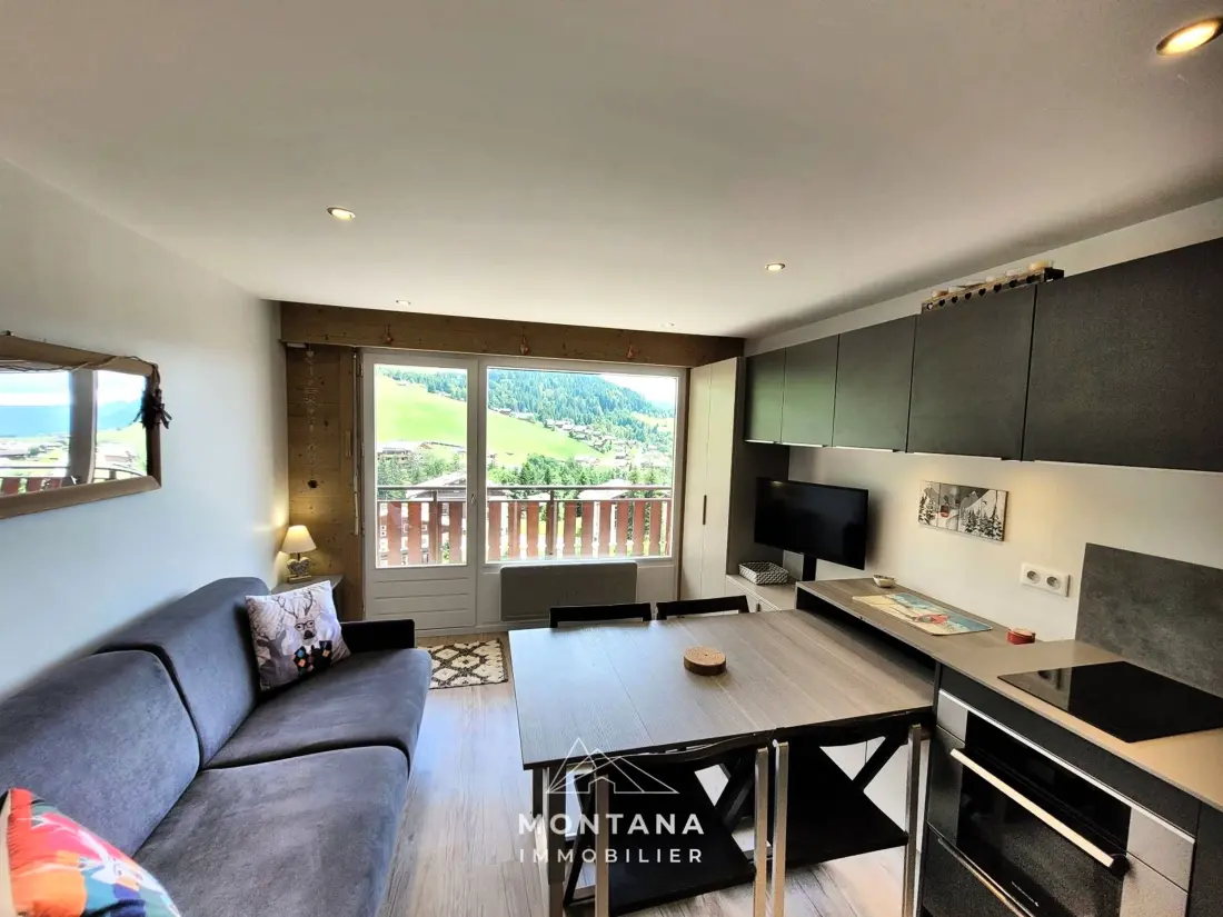 Location de Vacances Le Grand-Bornand 235