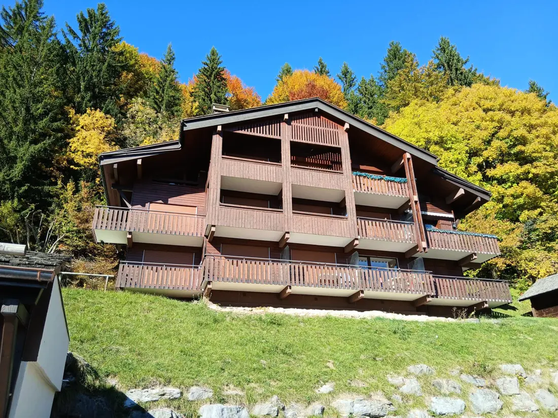 Location de Vacances Le Grand-Bornand 235