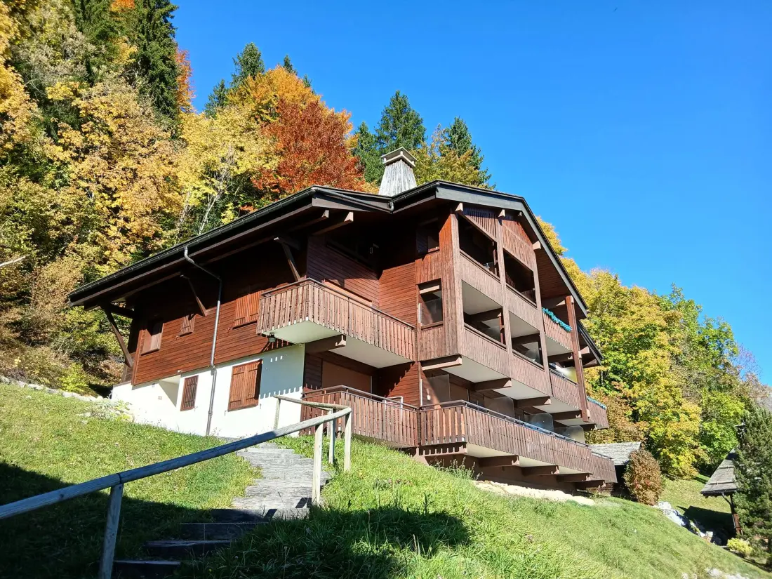 Location de Vacances Le Grand-Bornand 235