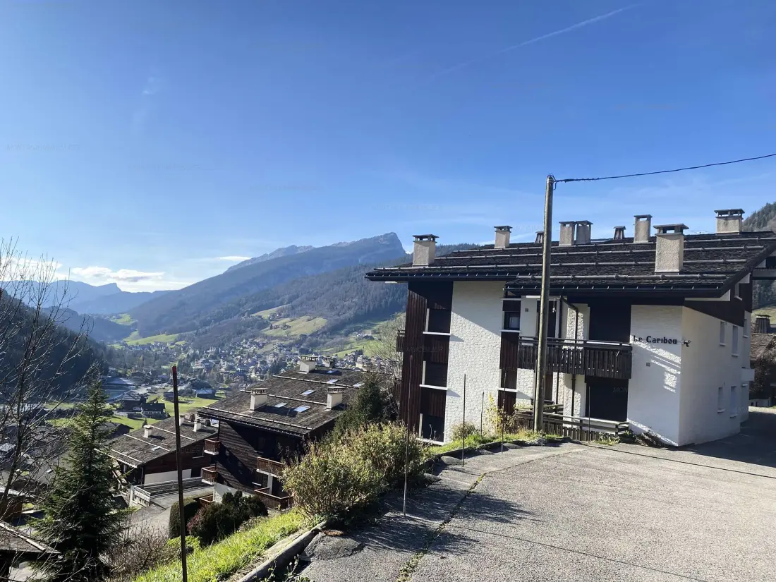 Location de Vacances Le Grand-Bornand 242