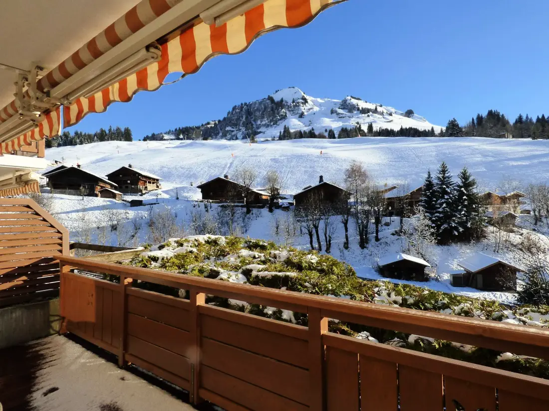 Location de Vacances Le Grand-Bornand 245