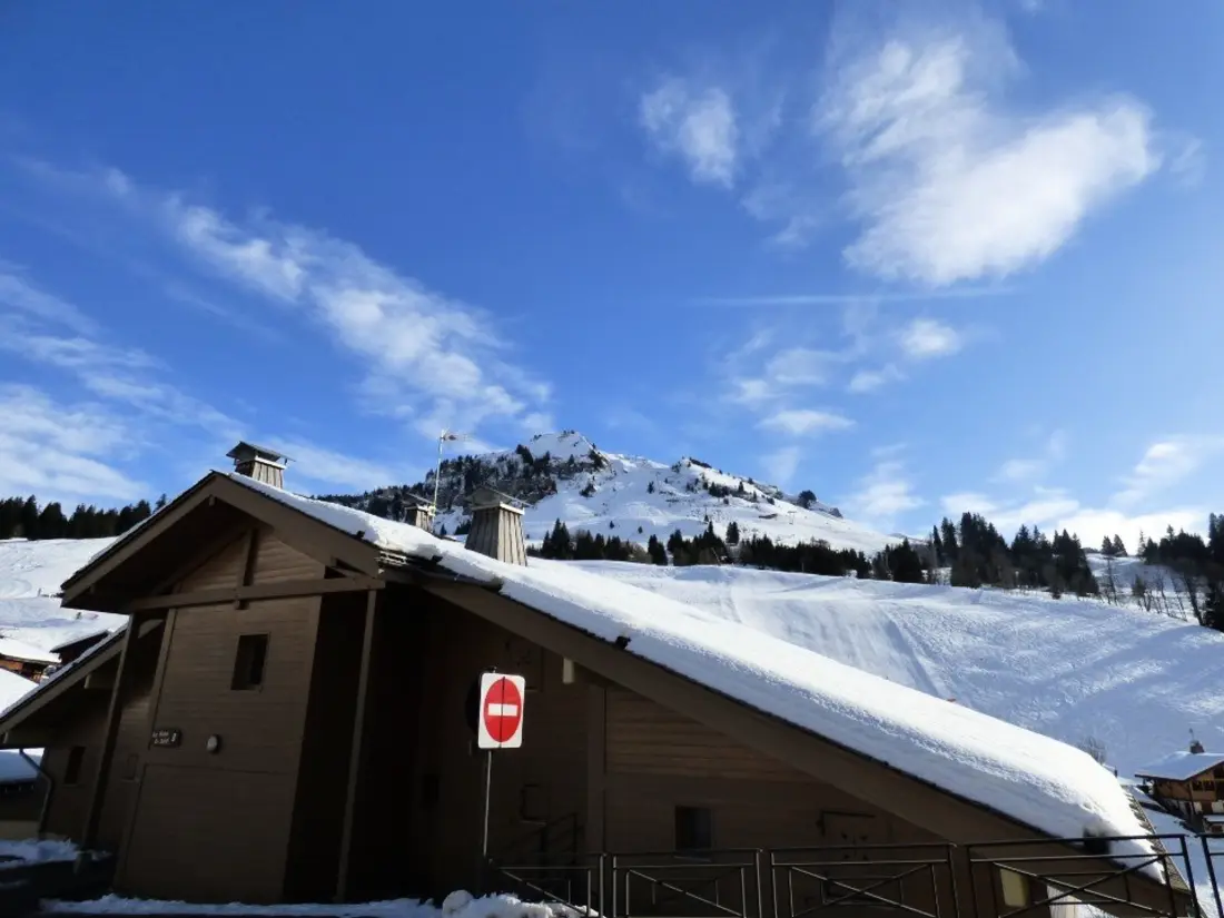 Location de Vacances Le Grand-Bornand 245