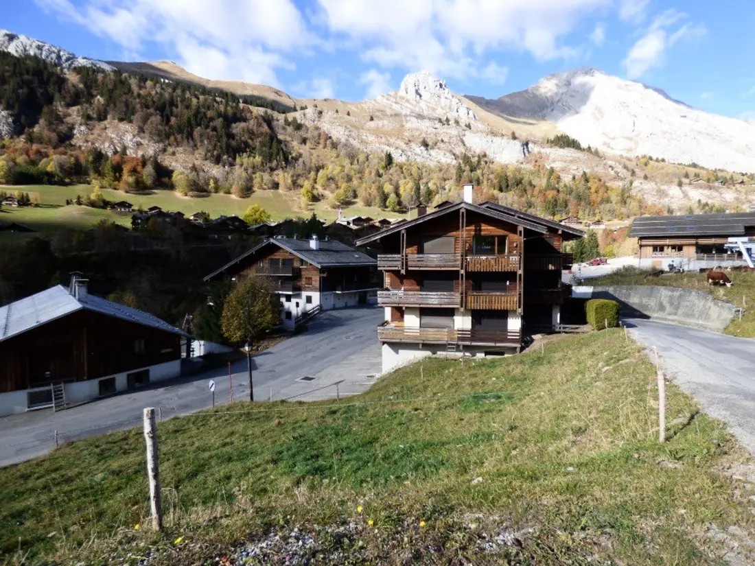 Location de Vacances Le Grand-Bornand 253