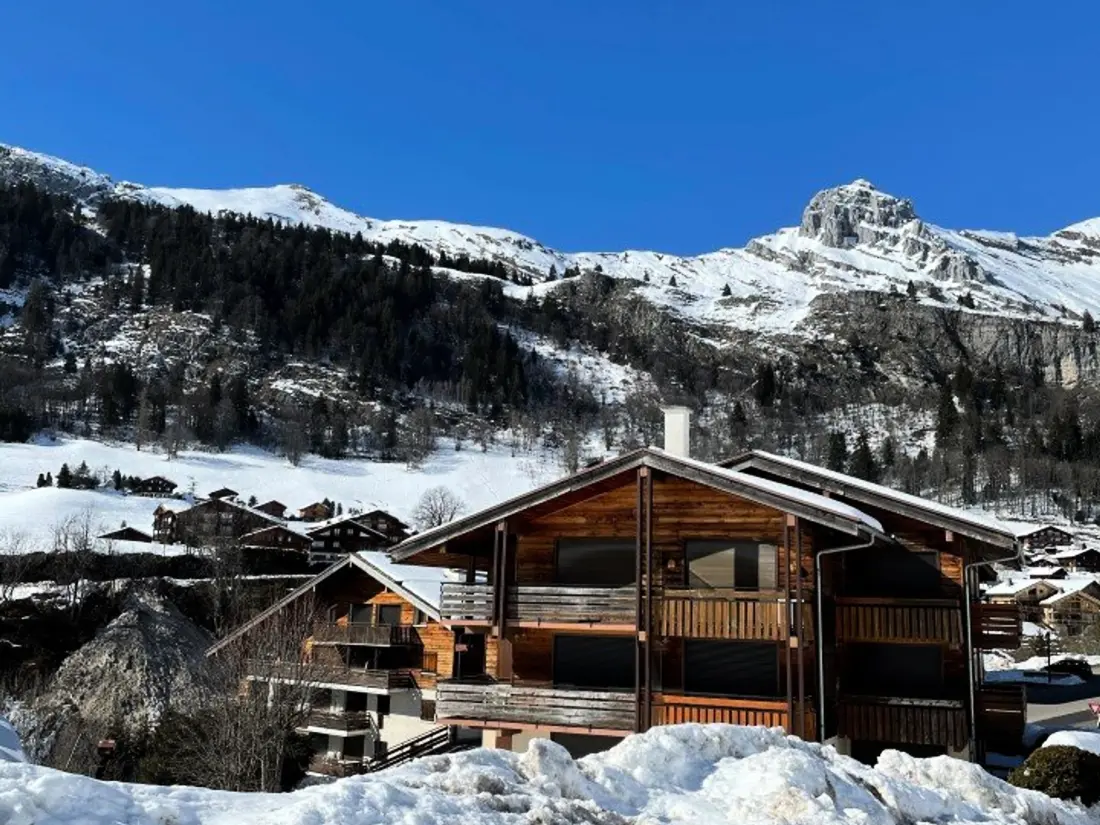 Location de Vacances Le Grand-Bornand 253