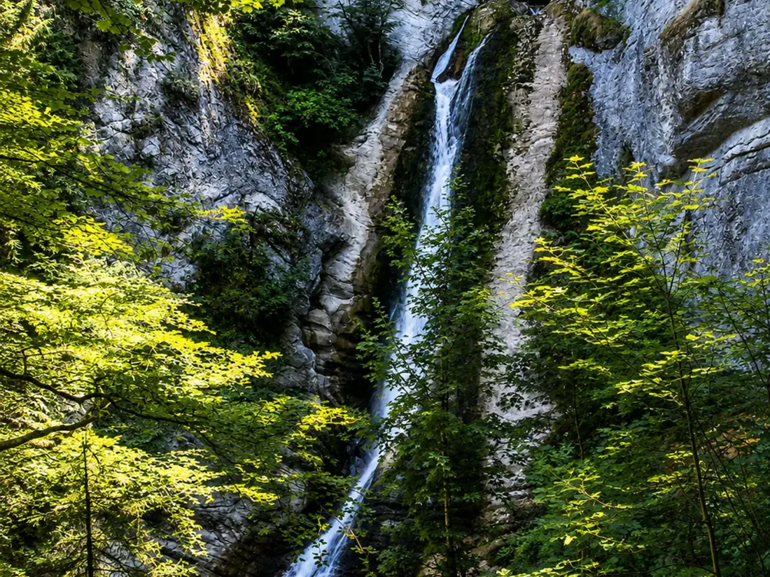 Location de Vacances Le Grand-Bornand 253