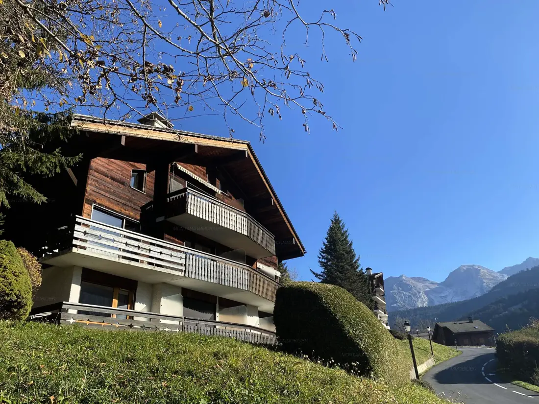 Location de Vacances Le Grand-Bornand 263