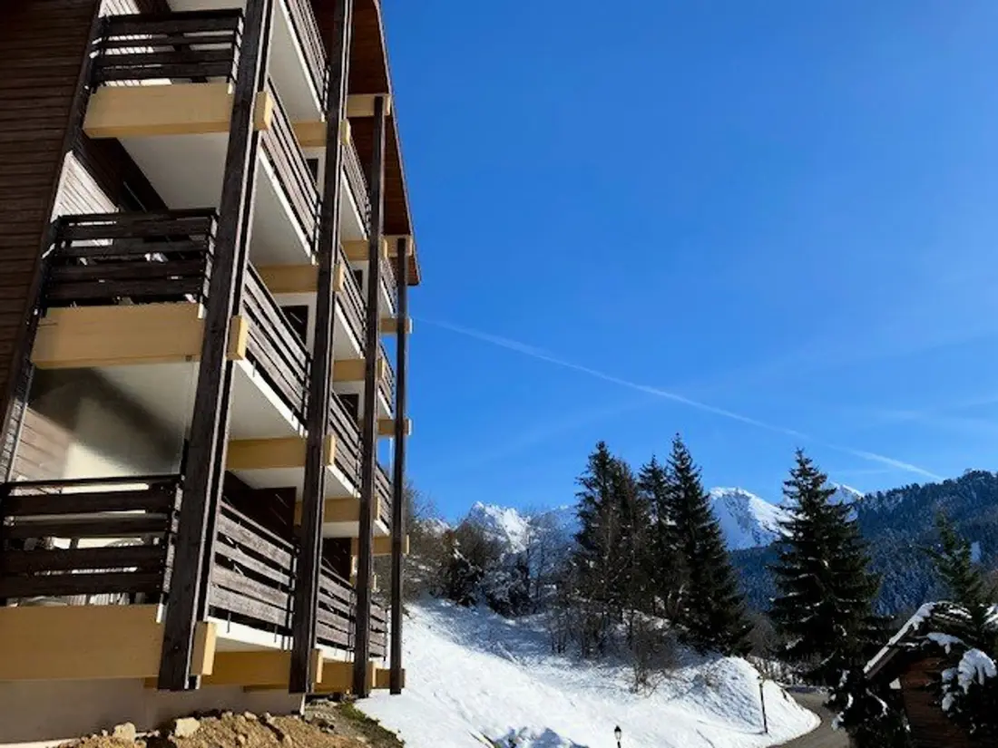 Location de Vacances Le Grand-Bornand 281