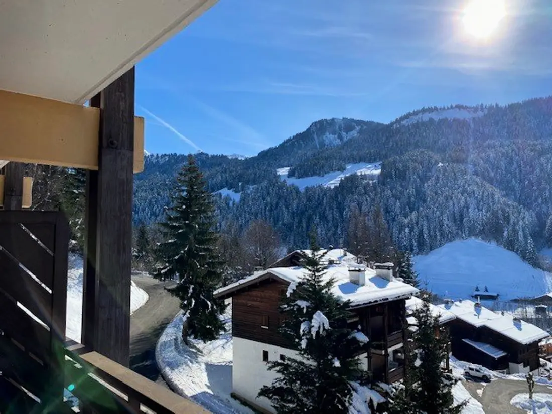 Location de Vacances Le Grand-Bornand 281