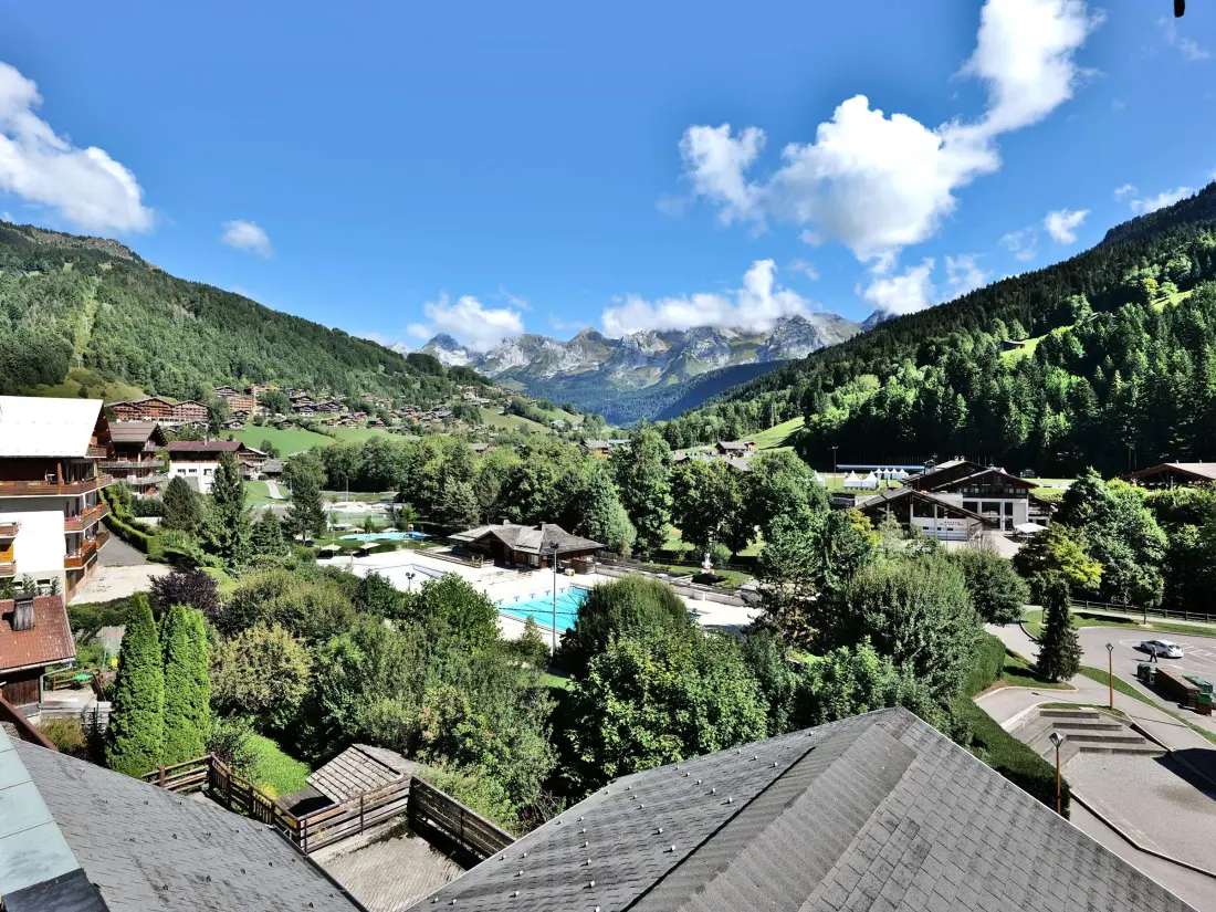 Location de Vacances Le Grand-Bornand 283