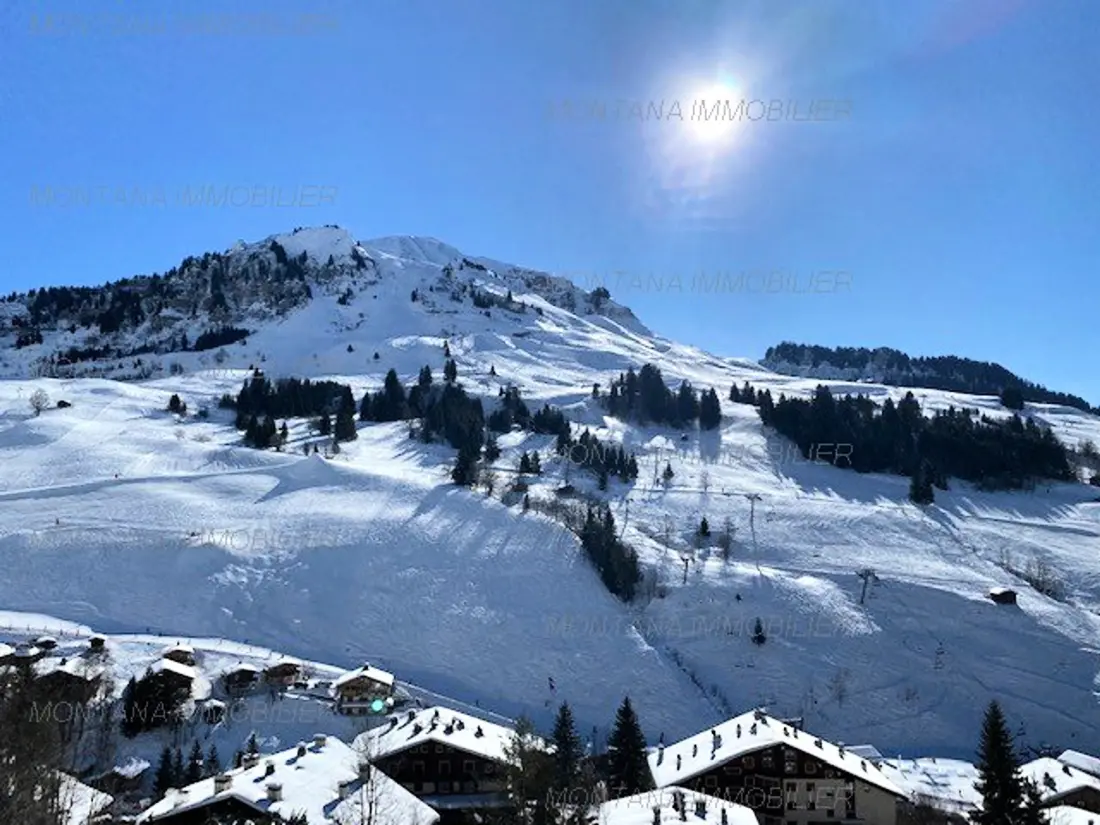 Location de Vacances Le Grand-Bornand 305