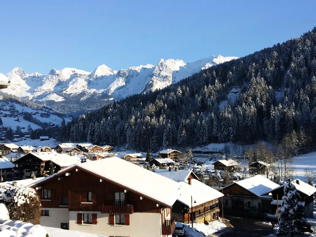 Location de Vacances Le Grand-Bornand 329