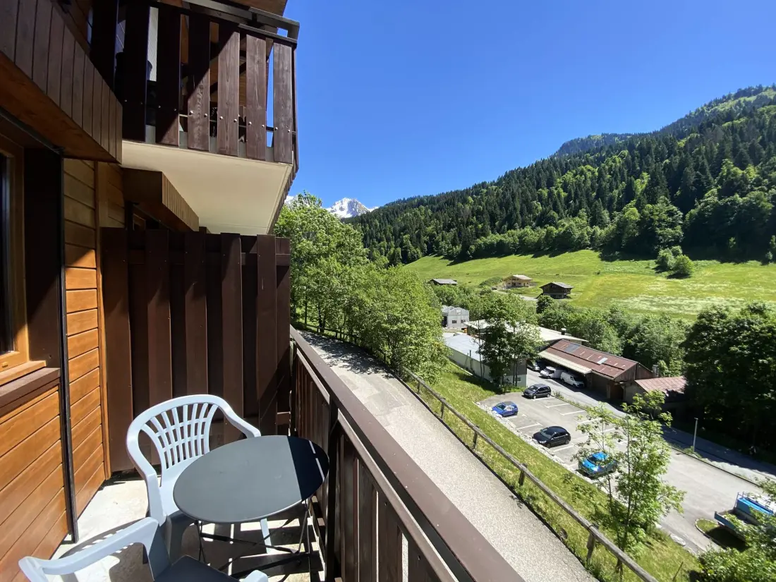 Location de Vacances Le Grand-Bornand 345
