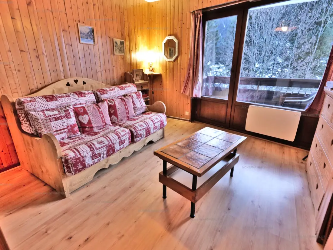 Location de Vacances Le Grand-Bornand 348