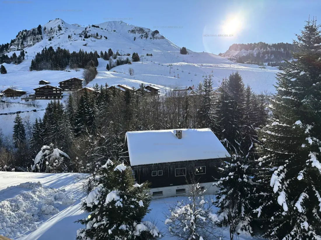 Location de Vacances Le Grand-Bornand 351