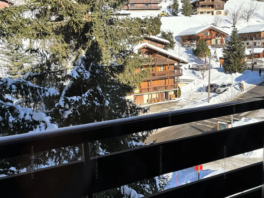 Location de Vacances Le Grand-Bornand 351