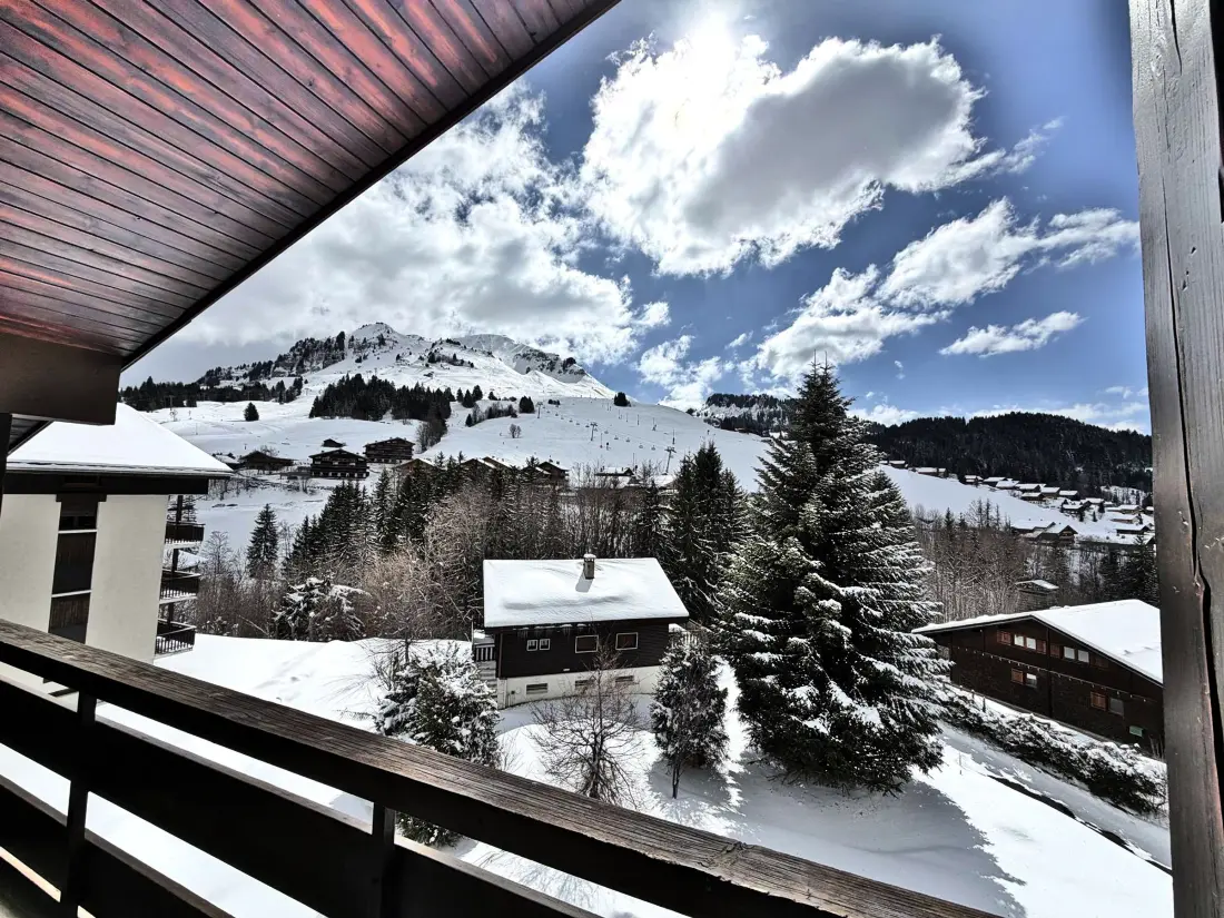 Location de Vacances Le Grand-Bornand 351