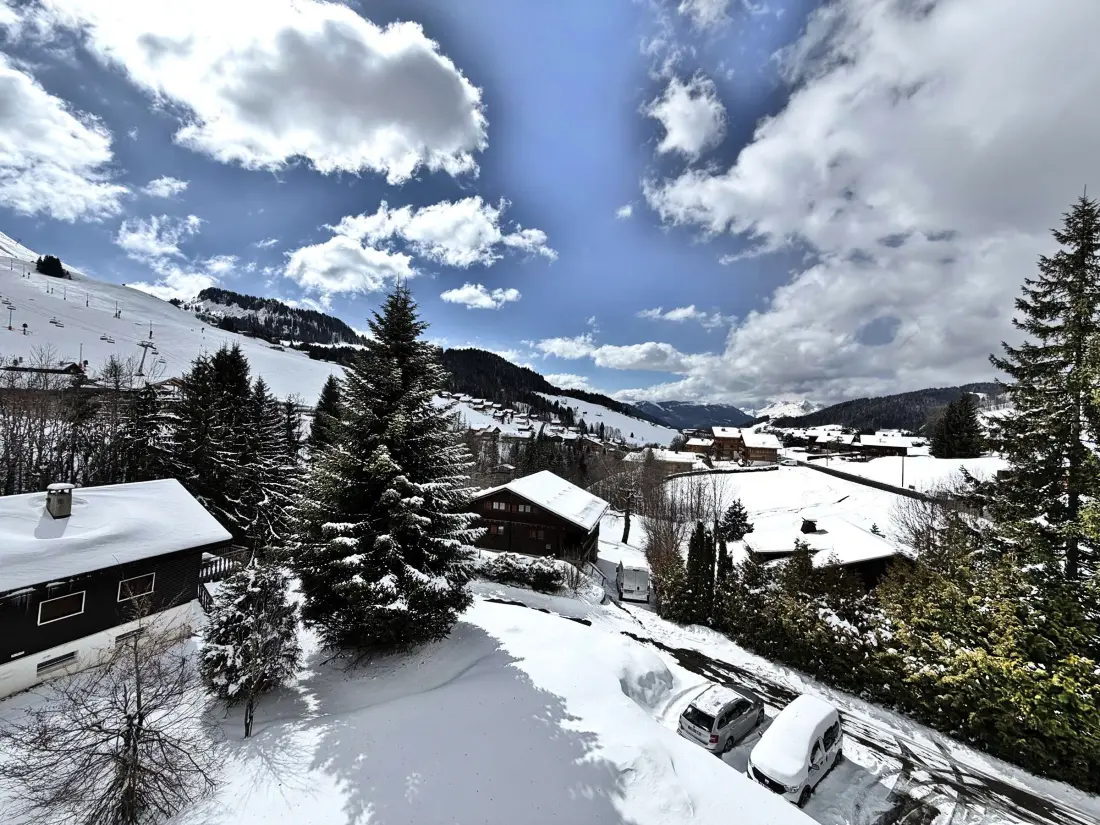 Location de Vacances Le Grand-Bornand 351