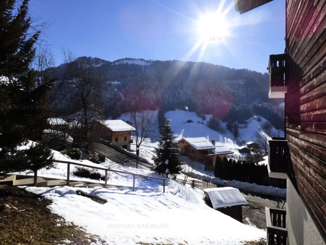 Location de Vacances Le Grand-Bornand 359