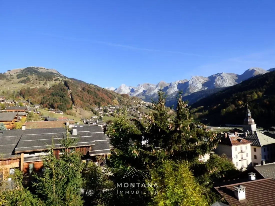 Location de Vacances Le Grand-Bornand 377
