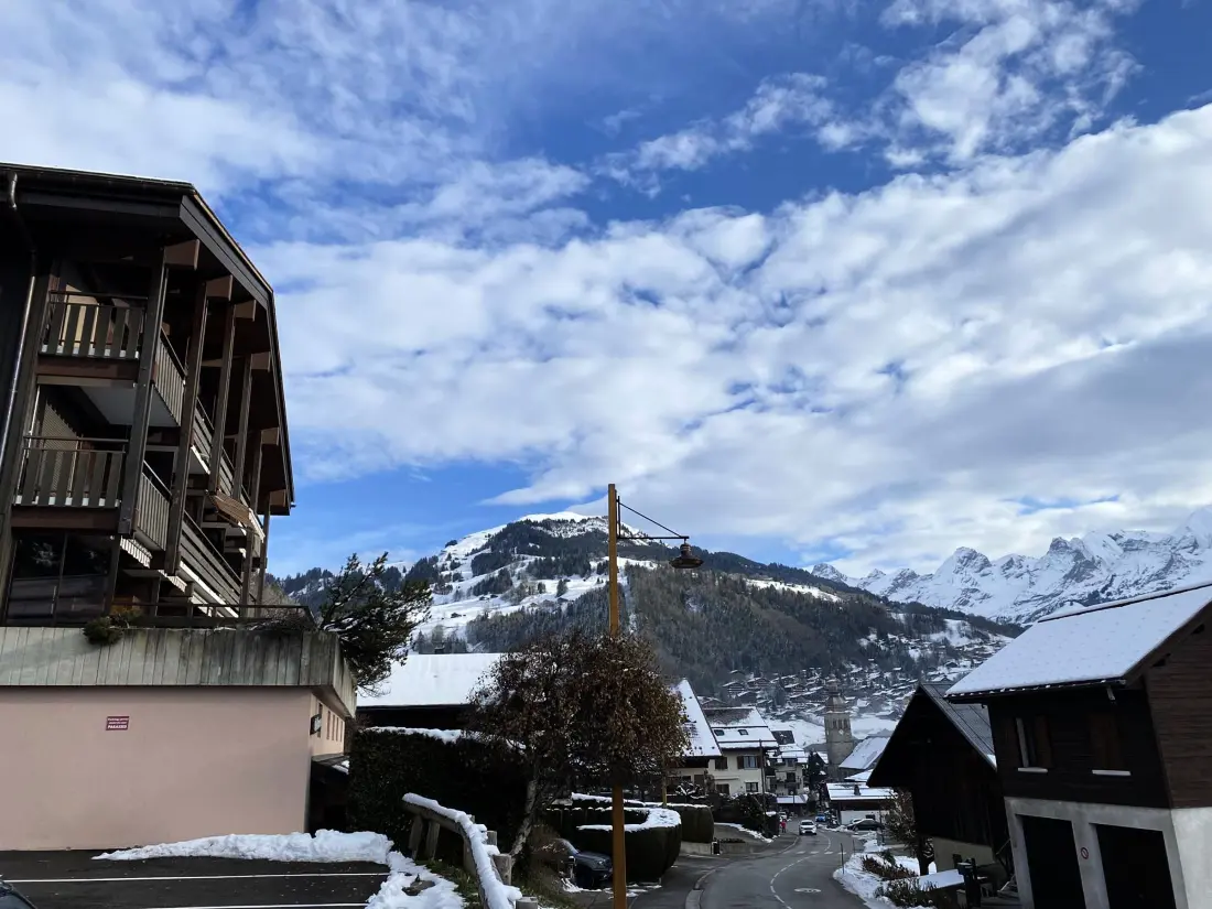 Location de Vacances Le Grand-Bornand 381