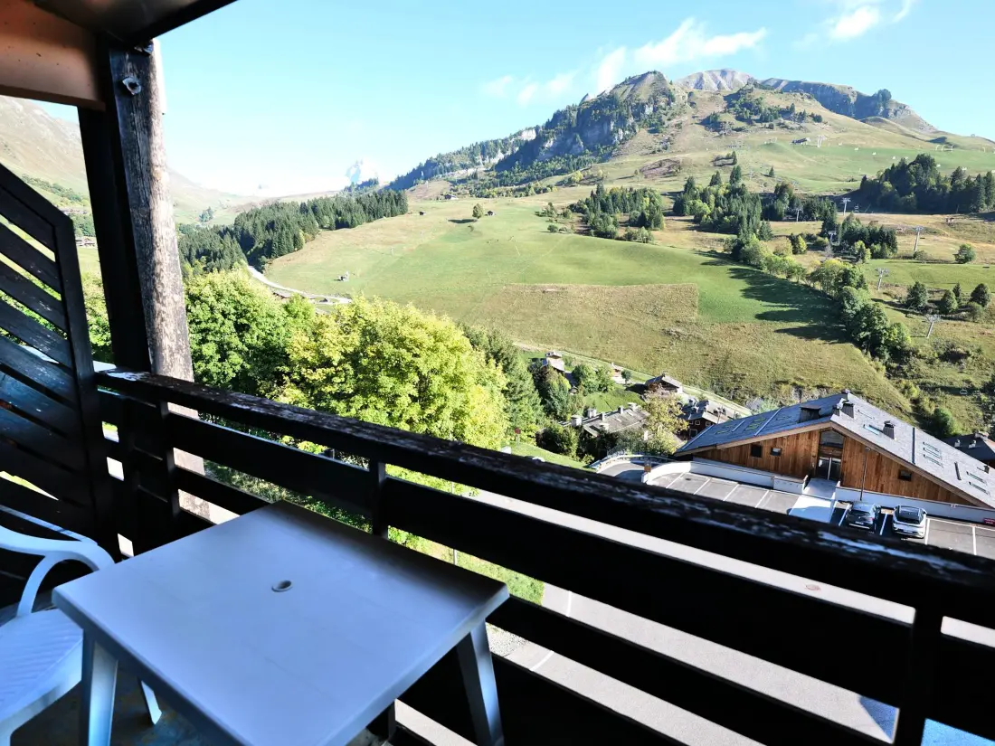 Location de Vacances Le Grand-Bornand 393