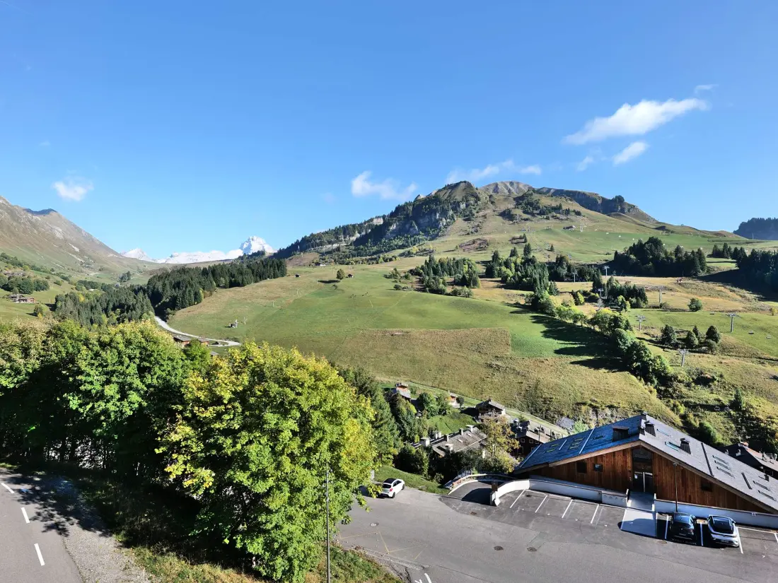Location de Vacances Le Grand-Bornand 393