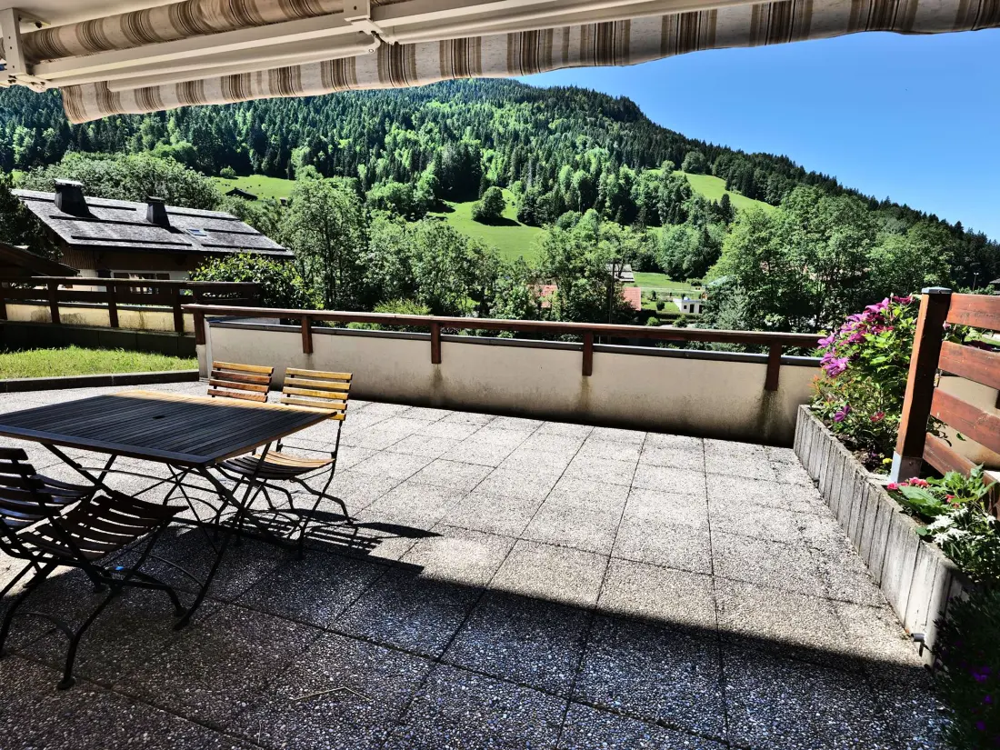 Location de Vacances Le Grand-Bornand 398