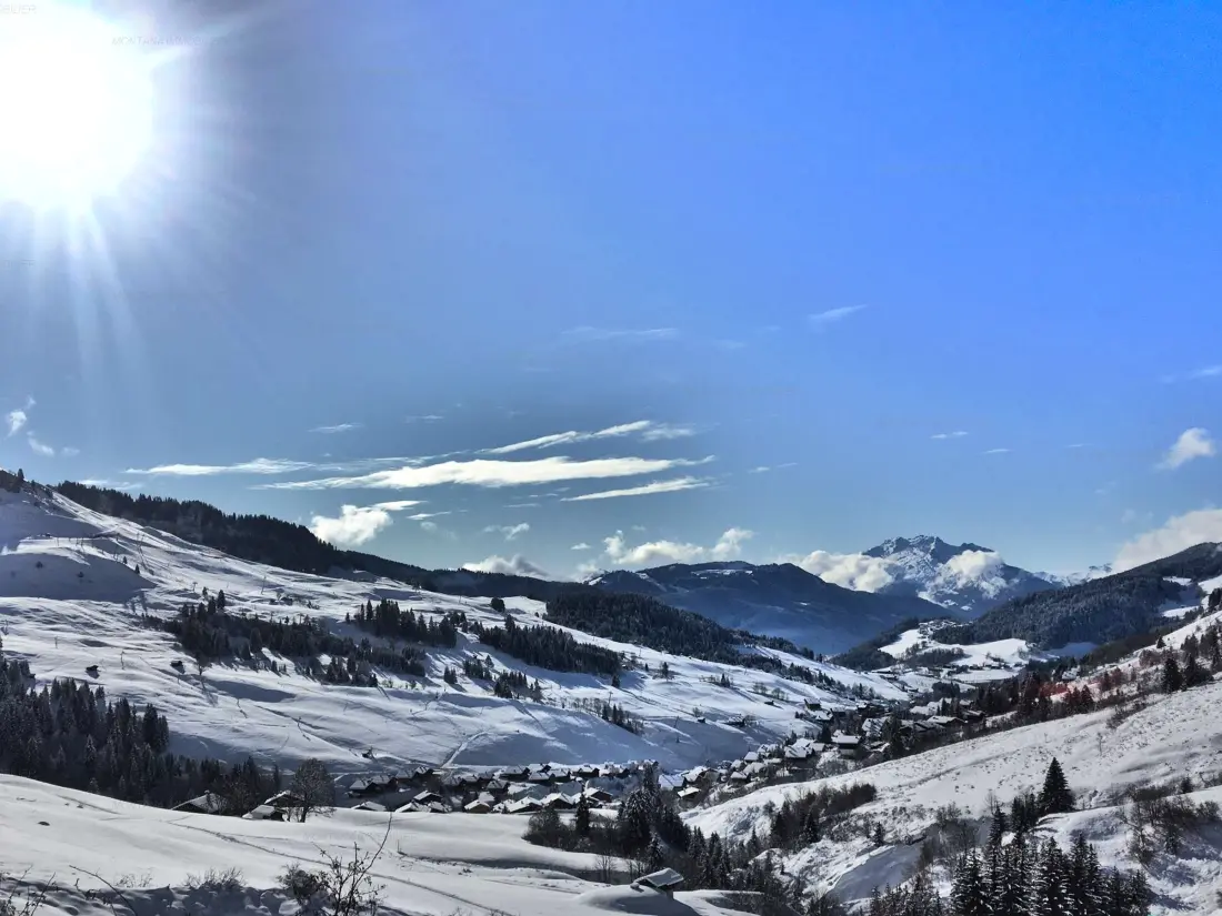 Location de Vacances Le Grand-Bornand 406