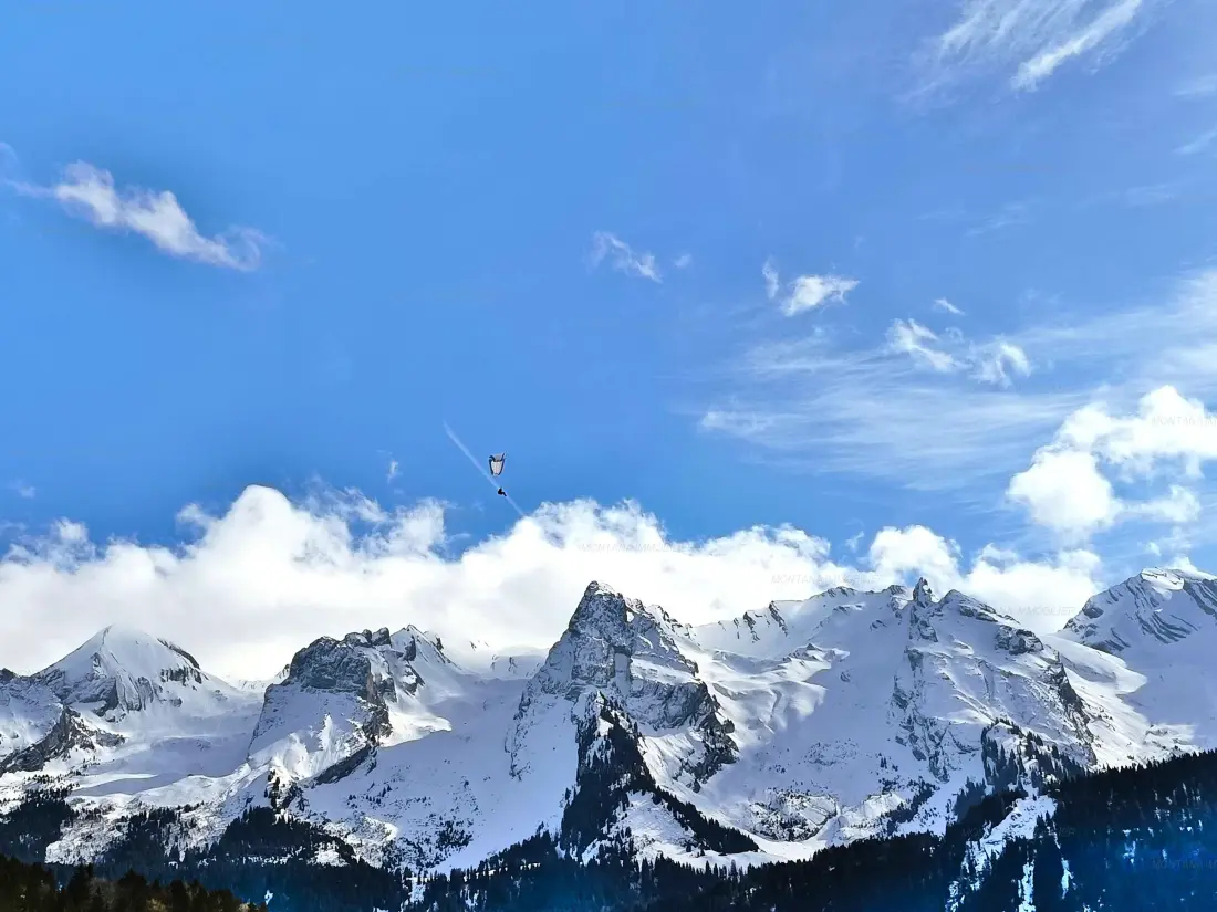 Location de Vacances Le Grand-Bornand 410