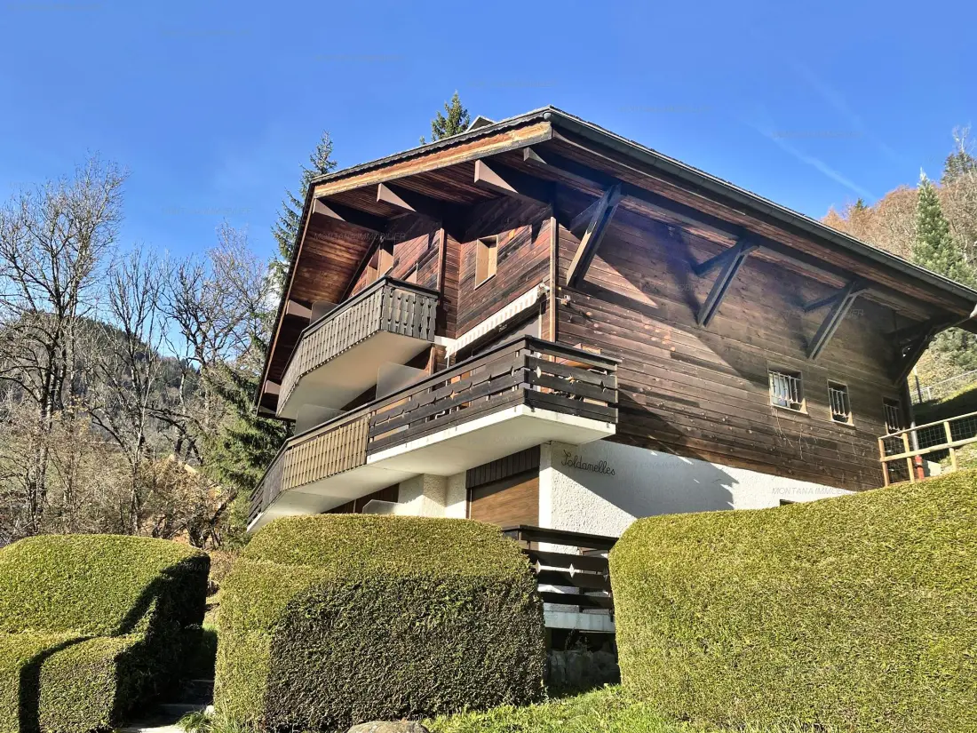 Location de Vacances Le Grand-Bornand 411