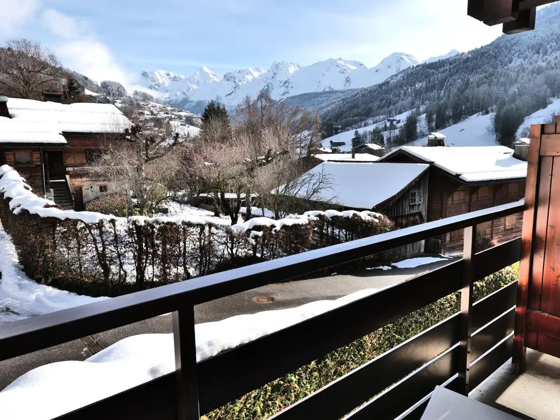 Location de Vacances Le Grand-Bornand 420
