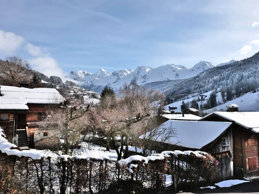 Location de Vacances Le Grand-Bornand 420