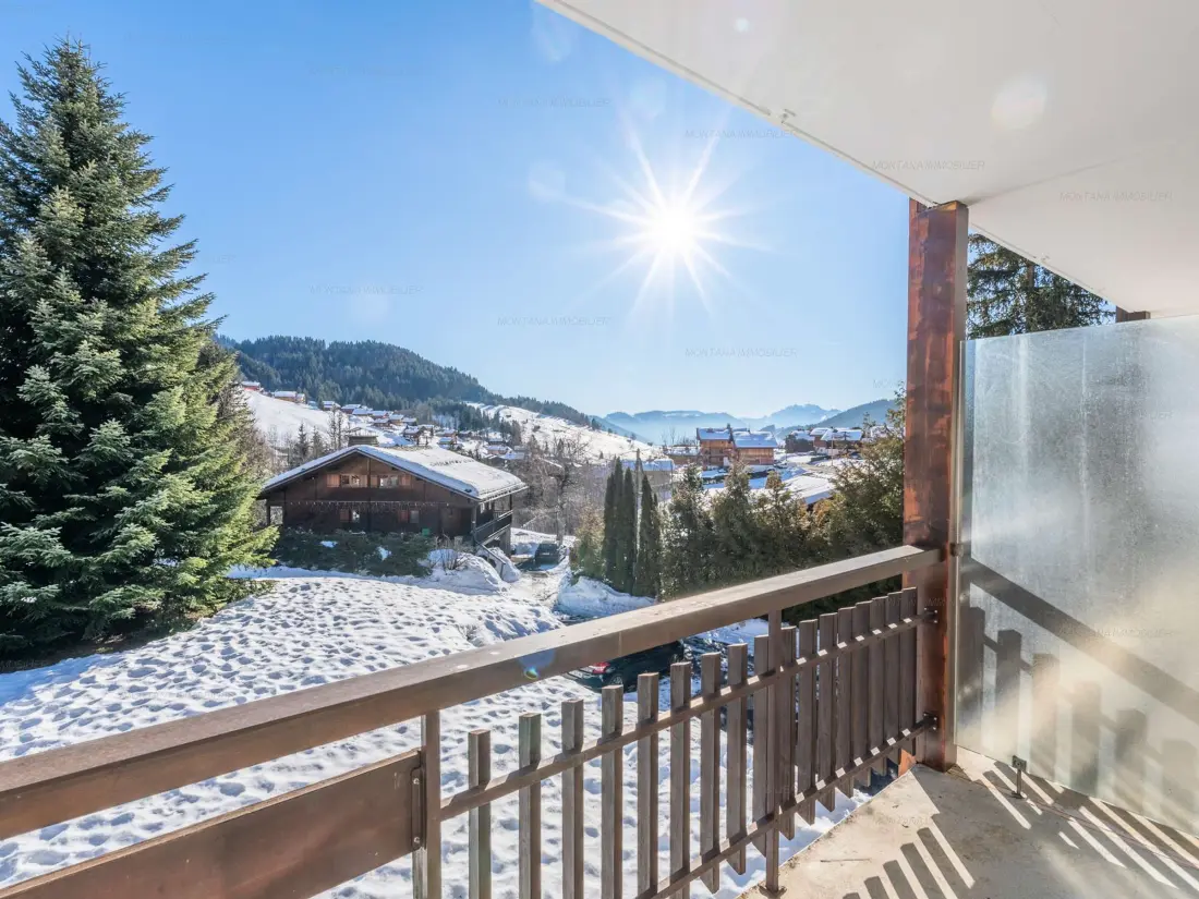 Location de Vacances Le Grand-Bornand 426