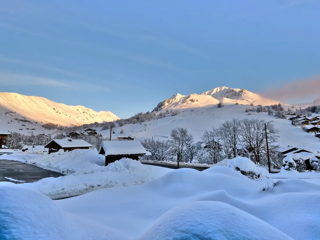 Location de Vacances Le Grand-Bornand 436