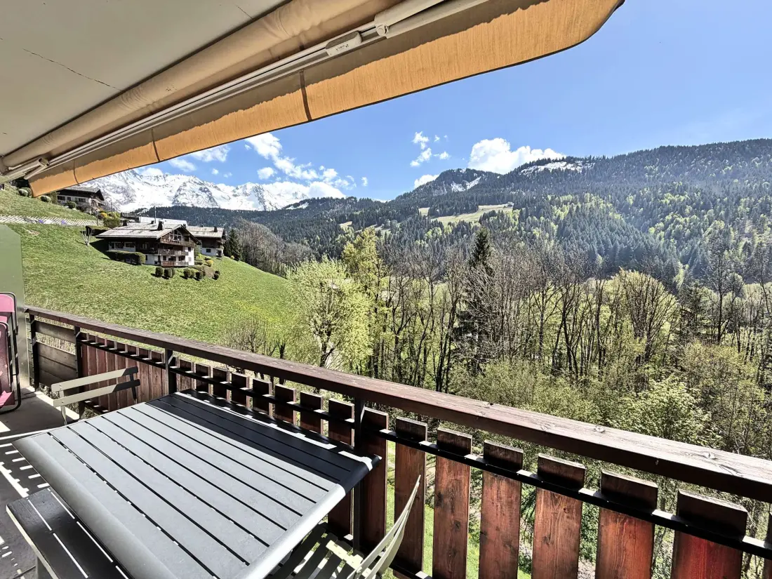 Location de Vacances Le Grand-Bornand 442