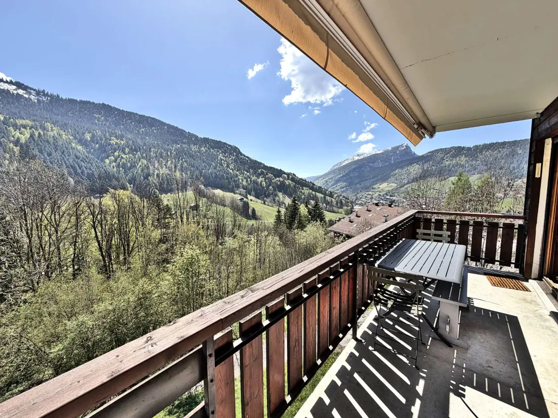 Location de Vacances Le Grand-Bornand 442