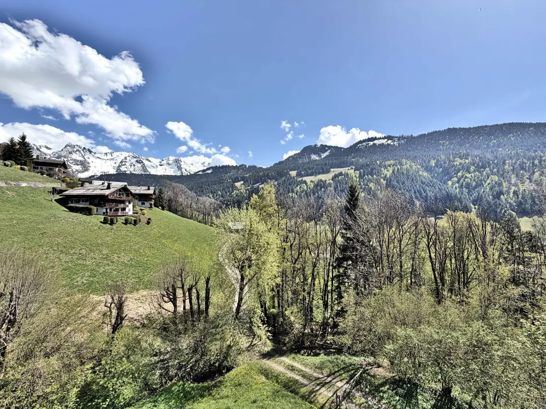 Location de Vacances Le Grand-Bornand 442